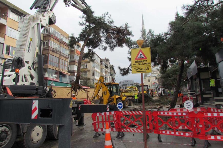Maltepe Meydan Projesi için ağaclar taşınıyor.